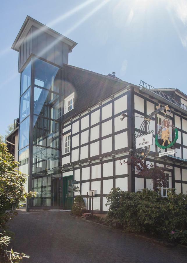Boutique-Hotel Weigels Bergfreiheit Винтерберг Экстерьер фото
